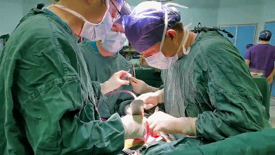 手术|再创生命奇迹！一天三台高难度肺移植手术，刷新浙江肺移植纪录