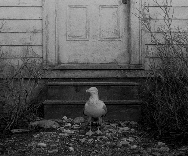 托马斯·维克|真实改编细思极恐，这电影真的太邪门了！