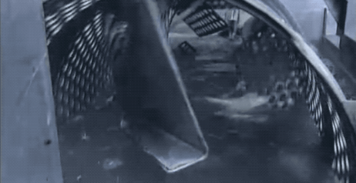 鱿鱼|鱿鱼肉是怎么被机器“撕扯”成鱿鱼丝的？