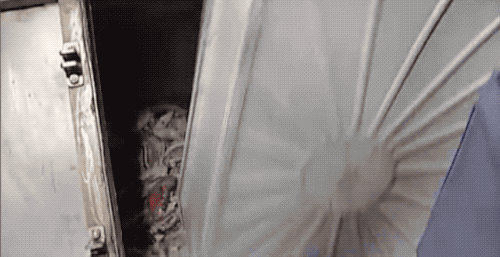 鱿鱼|鱿鱼肉是怎么被机器“撕扯”成鱿鱼丝的？