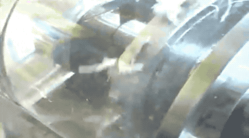 鱿鱼|鱿鱼肉是怎么被机器“撕扯”成鱿鱼丝的？