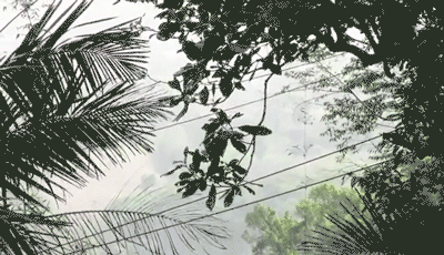 卢克·天行者|这“泼猴”敏捷值满格，但躲不过濒危