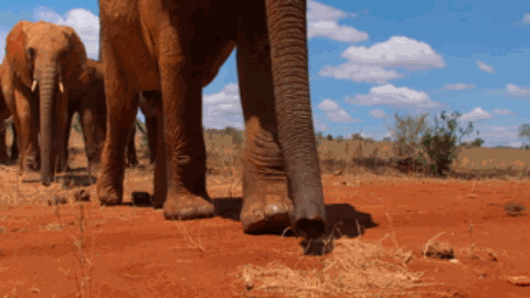 豆瓣|豆瓣9.4，零差评，每一集都想打五星的神作来了