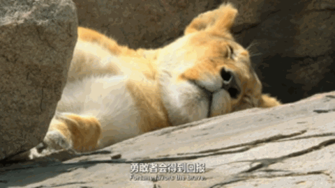 豆瓣|豆瓣9.4，零差评，每一集都想打五星的神作来了