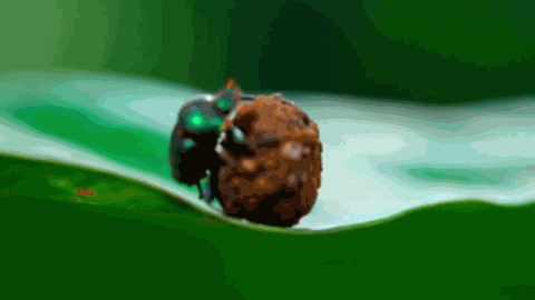 豆瓣|豆瓣9.4，零差评，每一集都想打五星的神作来了