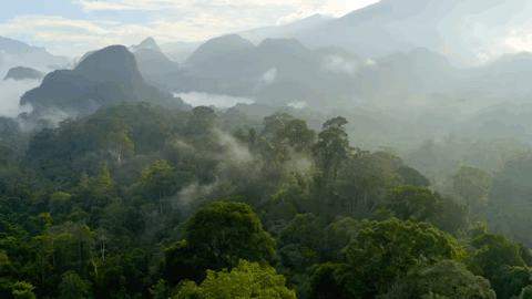 大卫·爱登堡|豆瓣9.9分神作背后的男神，终于不再低调