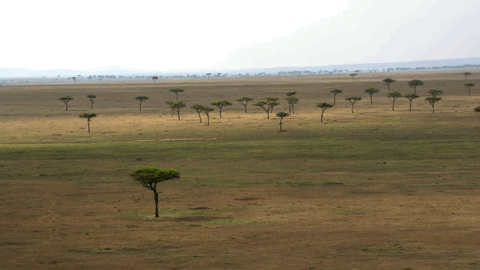 大卫·爱登堡|豆瓣9.9分神作背后的男神，终于不再低调