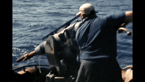 大卫·爱登堡|豆瓣9.9分神作背后的男神，终于不再低调