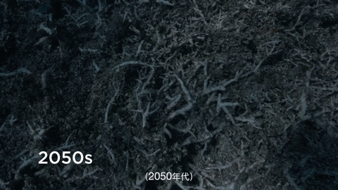 大卫·爱登堡|豆瓣9.9分神作背后的男神，终于不再低调