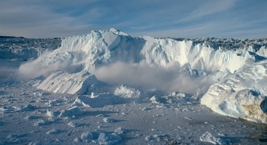 大卫·爱登堡|豆瓣9.4，凭实力“解说”，他才是真正的偶像