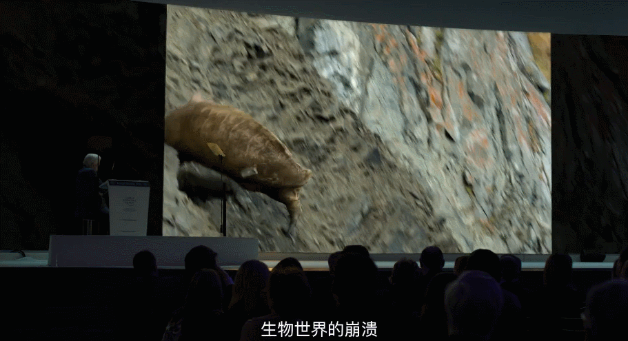 大卫·爱登堡|豆瓣9.4，凭实力“解说”，他才是真正的偶像