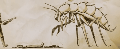 爱与怪物|没想到，居然被一部灾难片治愈了