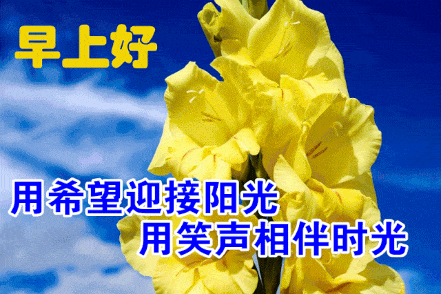 10月21日最漂亮早上好动态表情图片,早安问候祝福语图片带字温馨