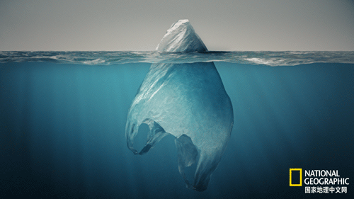 世界海滩垃圾中,塑料制品的占比高达73%