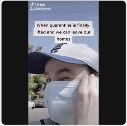 亚洲大黄蜂|它上过央视《致富经》，却成了许多美国人的噩梦