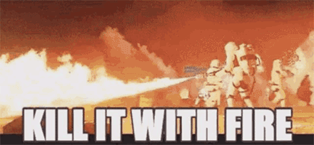 亚洲大黄蜂|它上过央视《致富经》，却成了许多美国人的噩梦