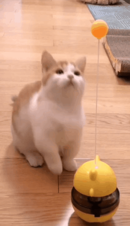 416_720竖版 竖屏gif 动态图 动图