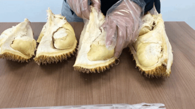 嗅觉|榴莲闻着臭吃着香，是因为我们的嗅觉分为鼻前嗅觉和鼻后嗅觉