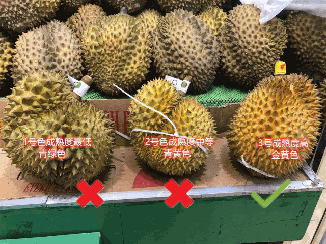 嗅觉|榴莲闻着臭吃着香，是因为我们的嗅觉分为鼻前嗅觉和鼻后嗅觉