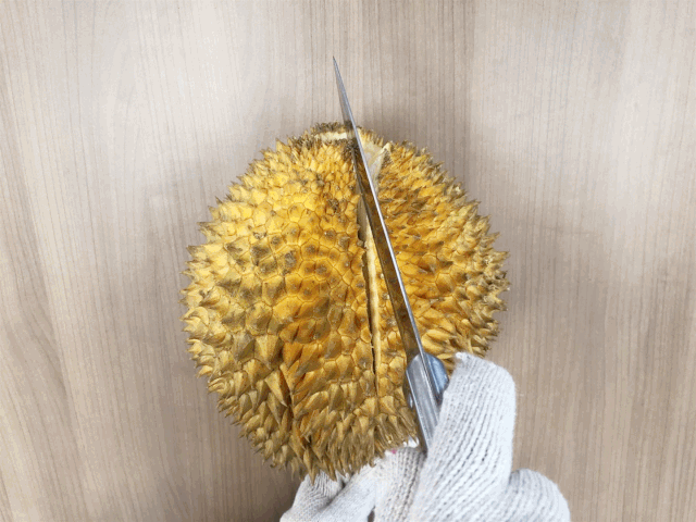 嗅觉|榴莲闻着臭吃着香，是因为我们的嗅觉分为鼻前嗅觉和鼻后嗅觉