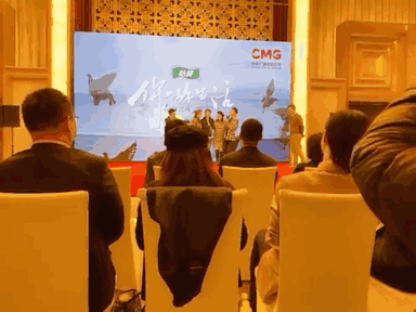 张蕾|张蕾紧搂康辉被批太亲密，央视主持集体鸣不平：诋毁前先弄清楚事实