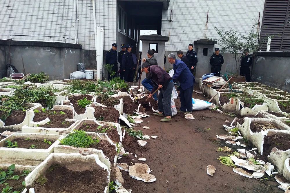 吵翻了!江南一小区两户业主竟然