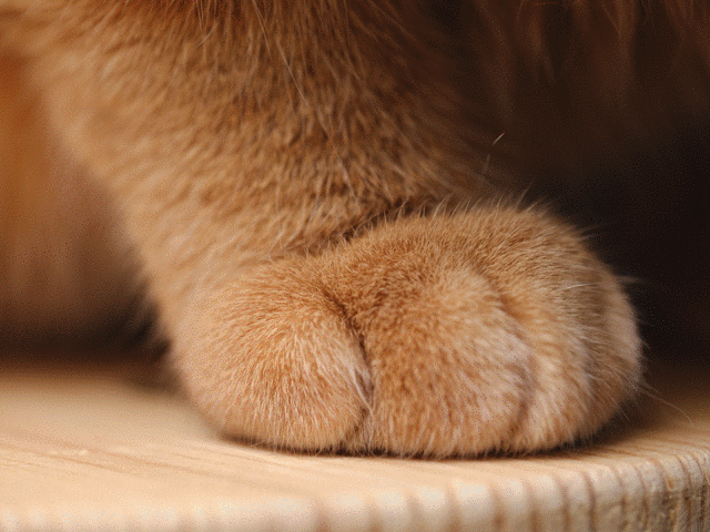 它们的图案还有两个萌萌的名字:要抱抱,举高高