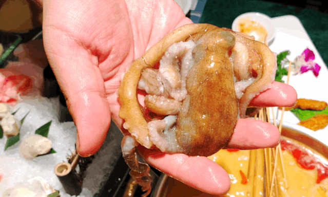 泰式海鲜火锅,不仅能尝遍正宗海鲜,出手就是大片