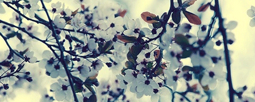 词牌|“梦又不成灯又烬”——为什么欧阳修填词可以出律，我们却不行？