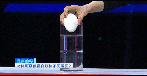 是真的吗|物体能停留在液体不同层面，是真的吗？