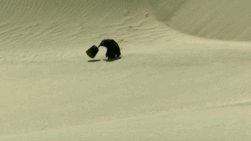 张译|也该轮到张译拿影帝了