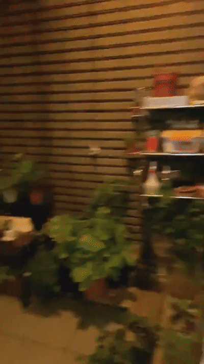 s.h.e|“女团鼻祖”SHE究竟有多赚钱？网友：看看Ella的豪宅就懂了……