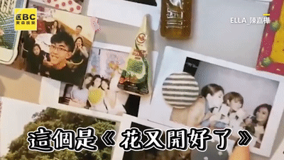 s.h.e|“女团鼻祖”SHE究竟有多赚钱？网友：看看Ella的豪宅就懂了……