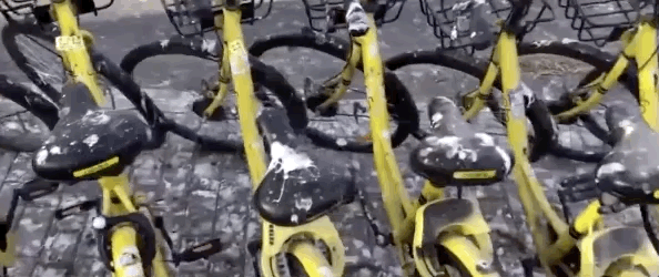 北京|在北京，有多少被乌鸦击中的人想要精神赔偿？