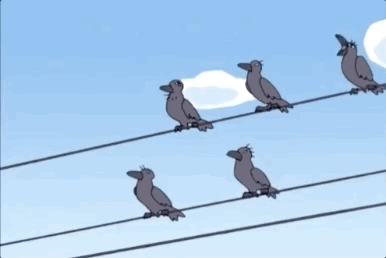 北京|在北京，有多少被乌鸦击中的人想要精神赔偿？