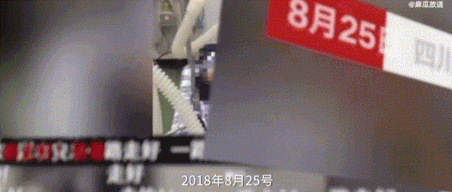 网红|网红藏族少年丁真，从爆红到翻车，只需短短三天