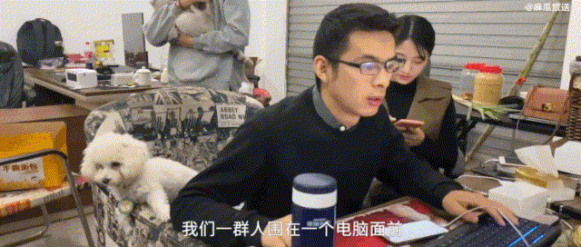 网红|网红藏族少年丁真，从爆红到翻车，只需短短三天