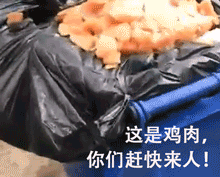 学费|11年学费200万，那些“贵族学校”，孩子究竟收获了什么？