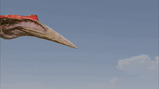 620_349gif 动态图 动图