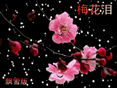400_300gif 动态图 动图