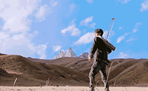 丁真果然拍广告了|把自己上交国家,这是我看过最动