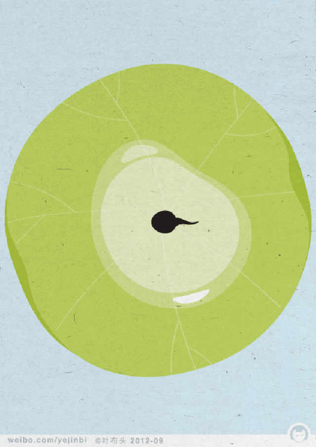 640_905竖版 竖屏gif 动态图 动图