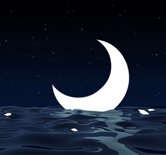 337_315gif 动态图 动图