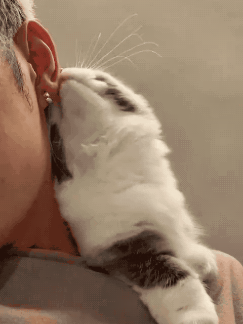 480_640竖版 竖屏gif 动态图 动图