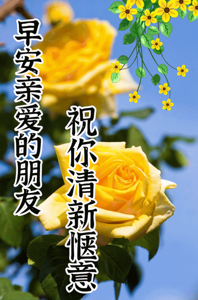 12月1日最漂亮早上好动态表情图片大全早晨好动图美图大全