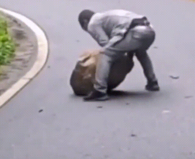 640_524gif 动态图 动图