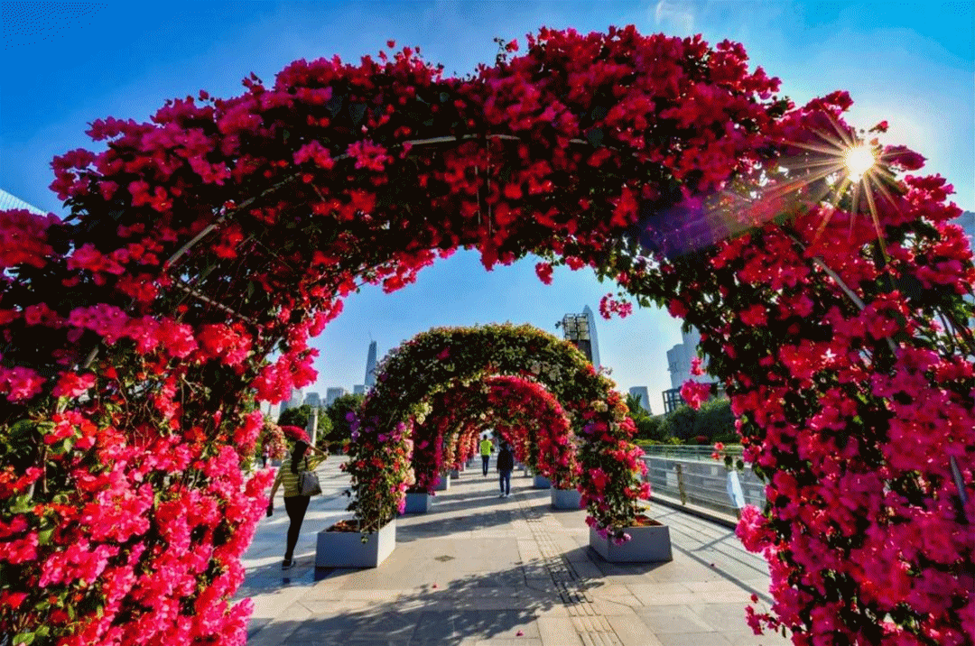 1080_716gif 动态图 动图