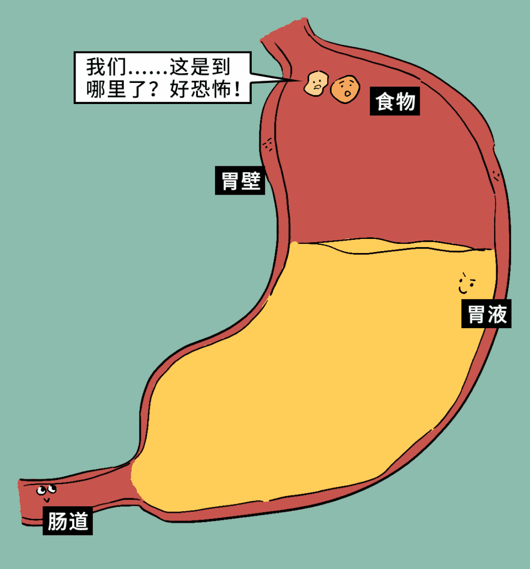 肠胃蠕动卡通图片