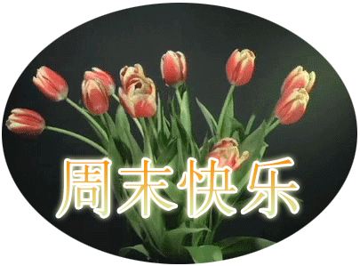 周末愉快祝福语 周末快乐问候语_腾讯新闻