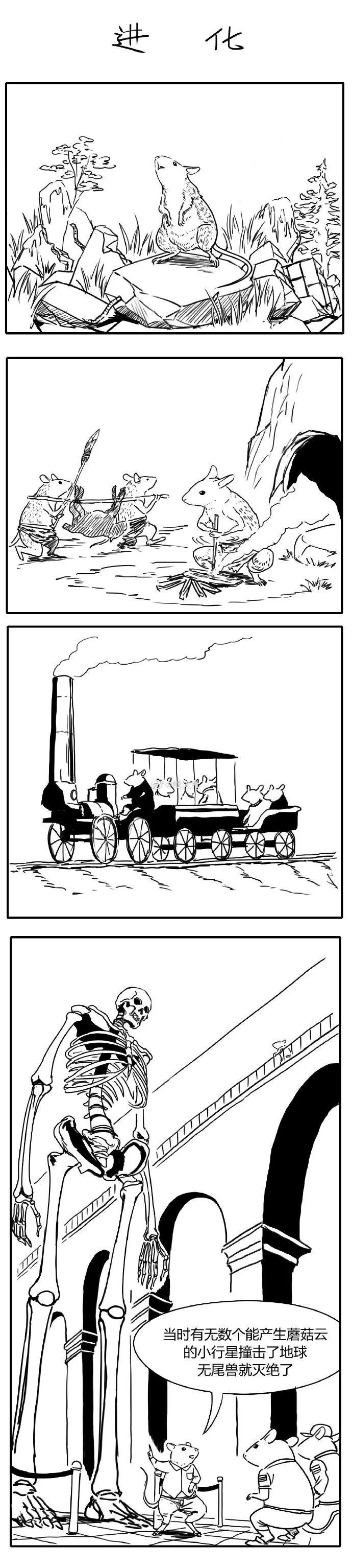 鼠类的进化文明 腾讯新闻